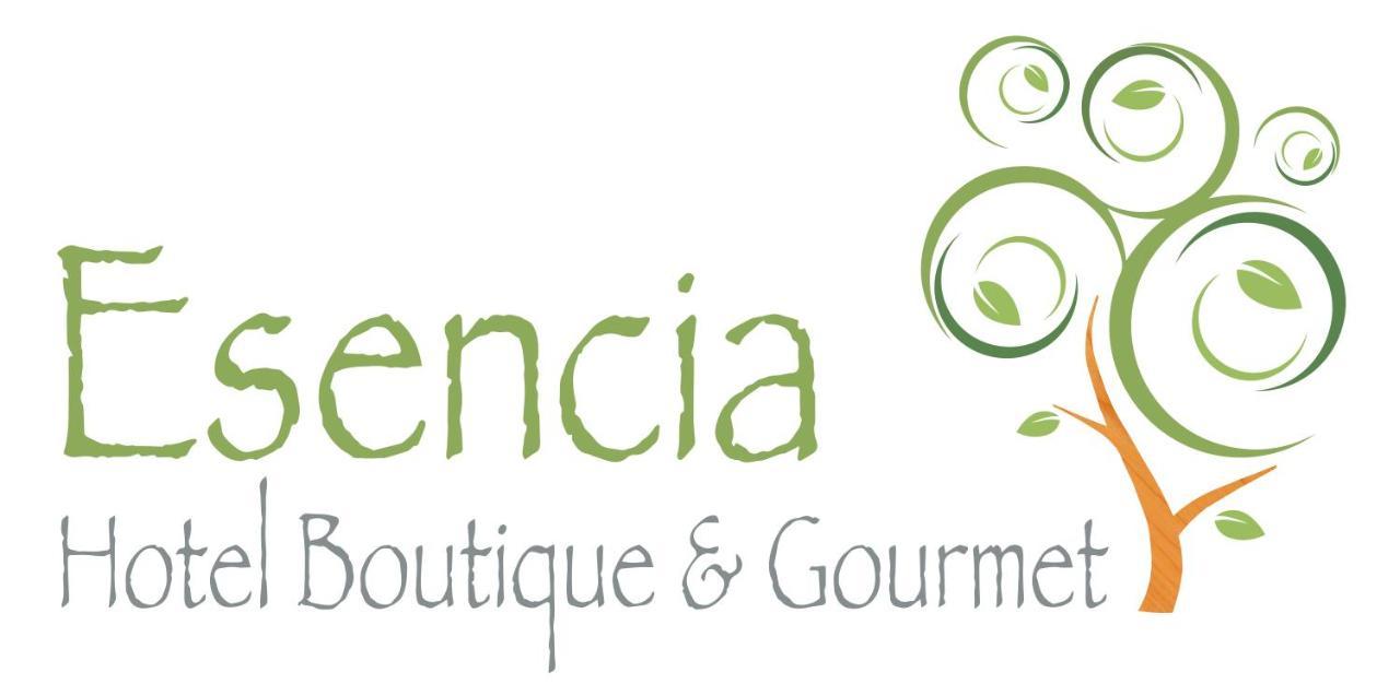 Esencia Hotel Boutique วิญาเดลมาร์ ภายนอก รูปภาพ